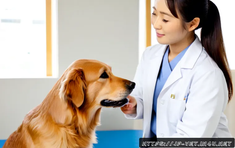 수의사로서의 커뮤니케이션 스킬 - Photorealistic veterinary consultation in a bright, modern animal clinic in Japan, compassionate vet...